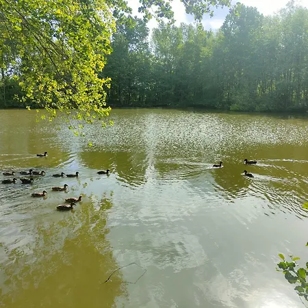 Le Des Rives De L'aa Labelise 3 Etoiles Dom wakacyjny Bourbourg