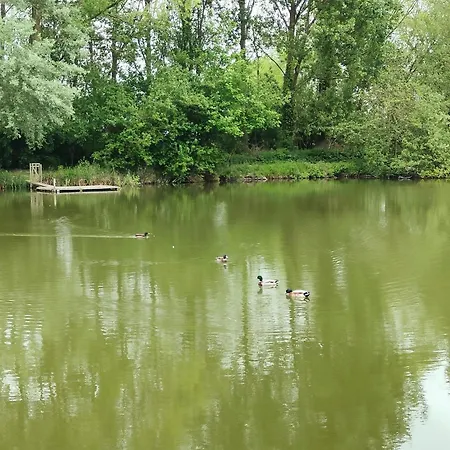 Le Des Rives De L'aa Labelise 3 Etoiles Holiday home